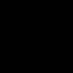 Meet your Posher, Arely